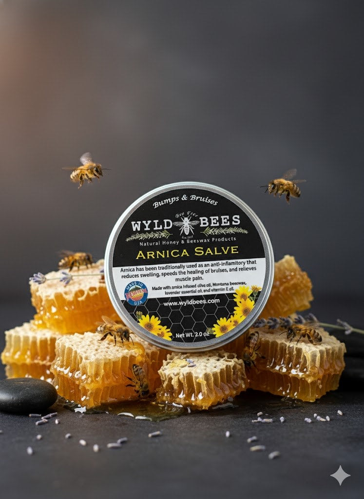 Wyld Bees - Arnica Salve (2 oz)