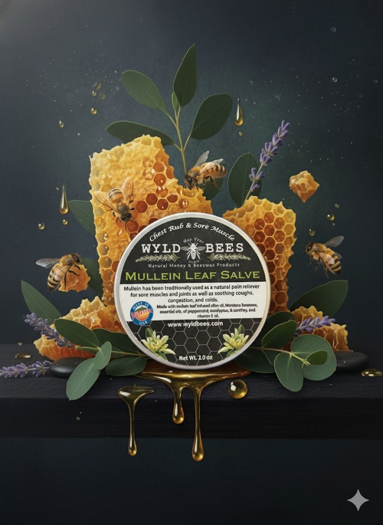 Wyld Bees - Mullein Leaf Salve (2 oz)