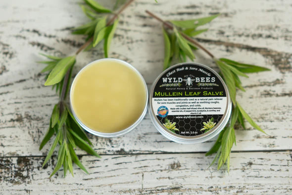 Wyld Bees - Mullein Leaf Salve (2 oz)